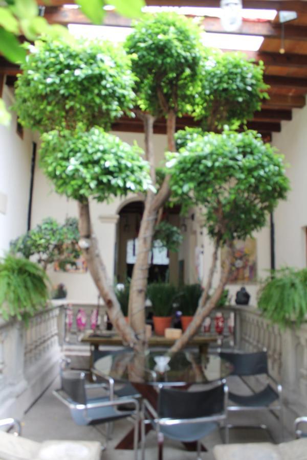 Guest House Aldama Мехіко Екстер'єр фото